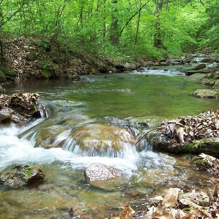 Cabin Creekwood Lyndhurst Dış mekan fotoğraf