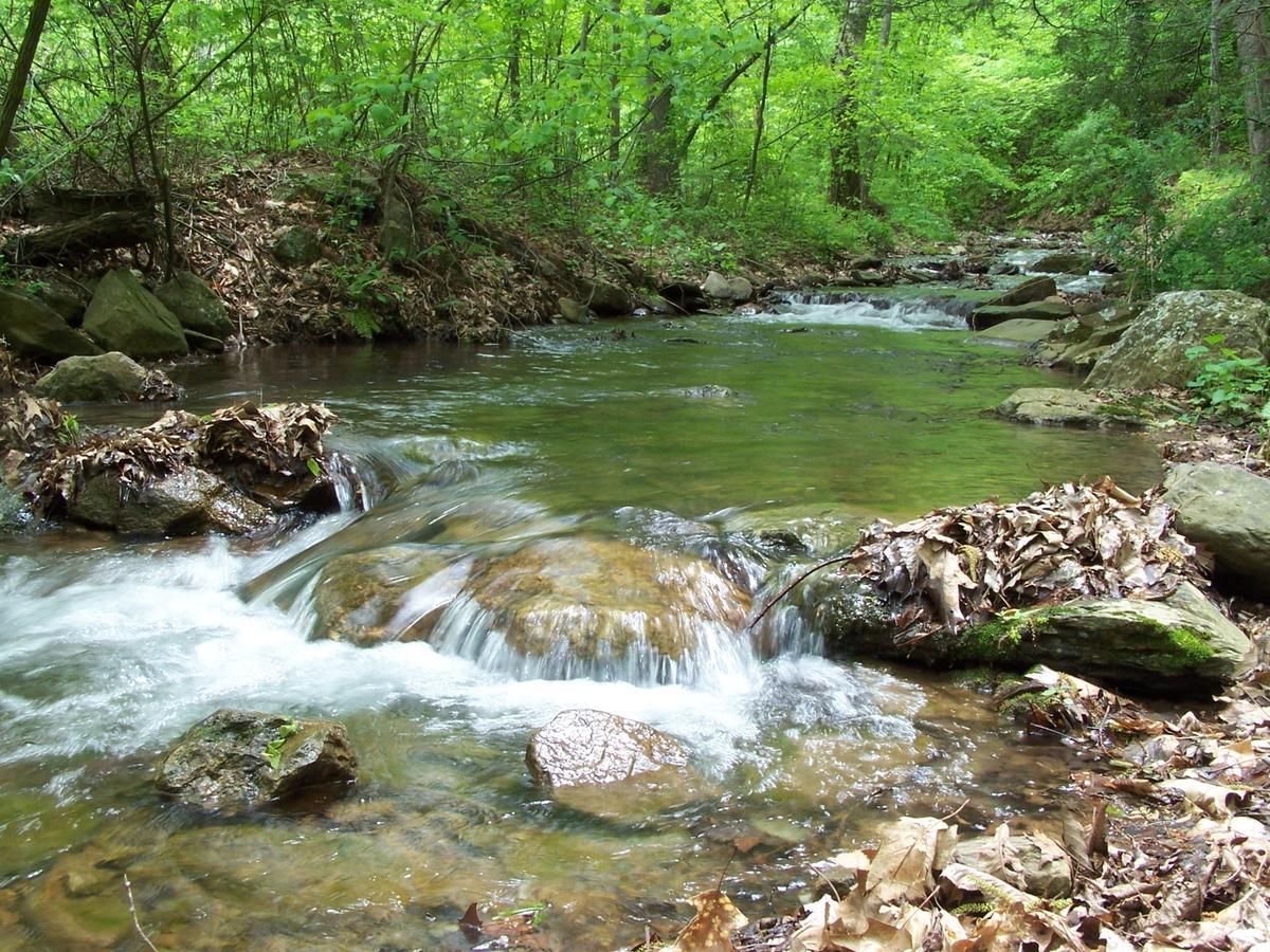 Cabin Creekwood Lyndhurst Dış mekan fotoğraf