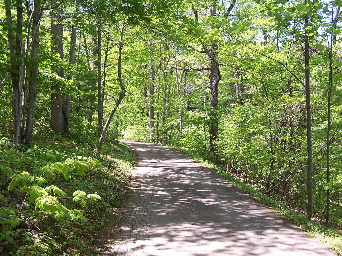 Cabin Creekwood Lyndhurst Dış mekan fotoğraf