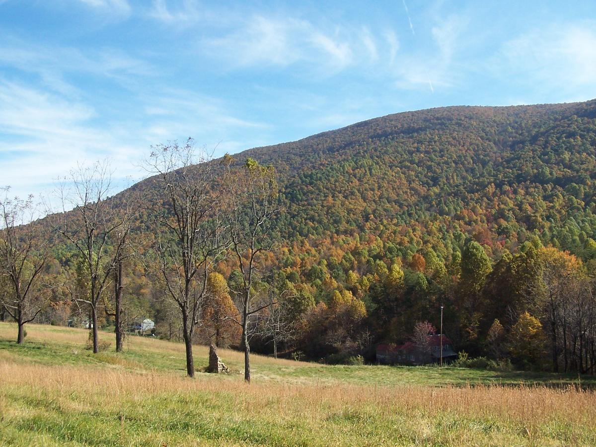 Cabin Creekwood Lyndhurst Dış mekan fotoğraf